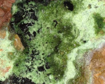 Plumboagardite